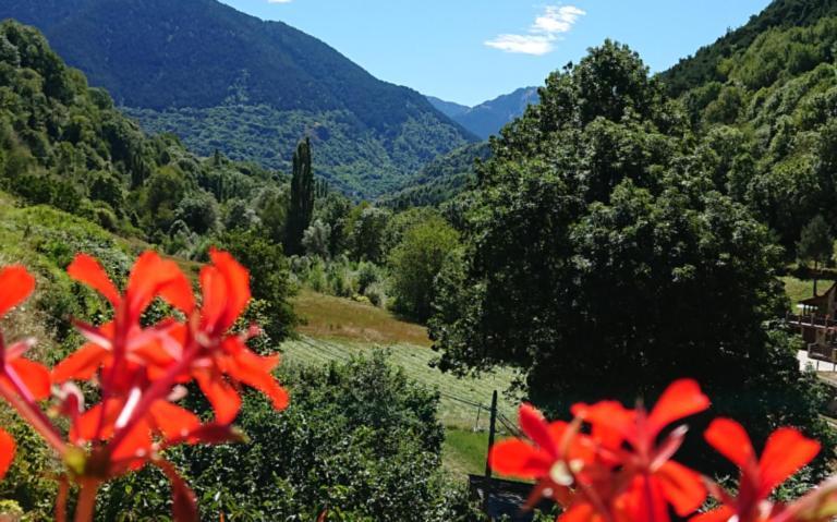 Alojamiento Rural Ostau Era Nheuada Aubert Esterno foto